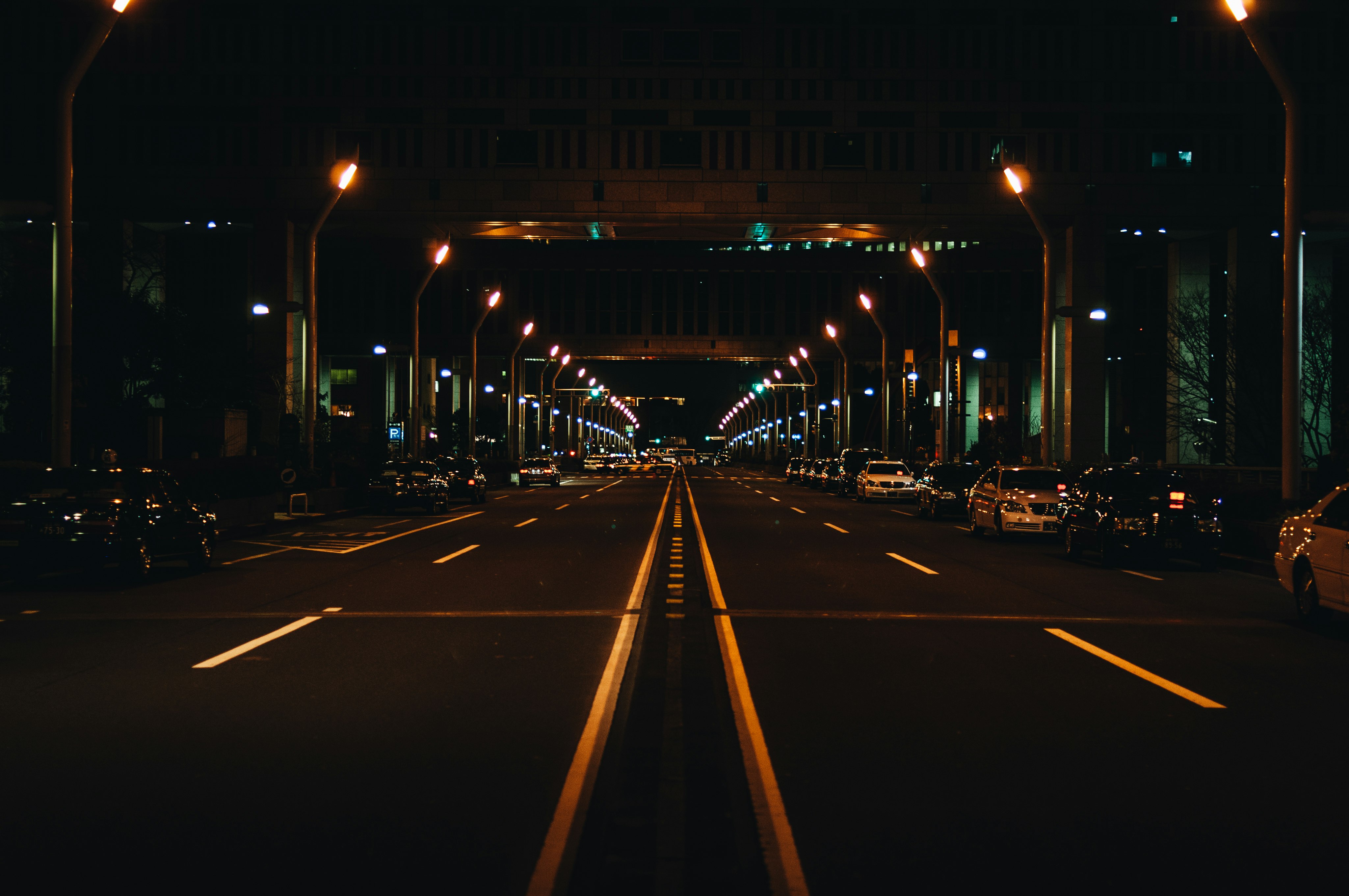 landscape photography of roadway